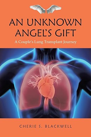An Unknown Angel's Gift book cover