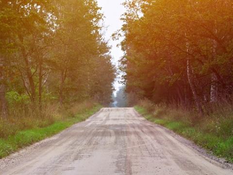 Dirt road in the woods