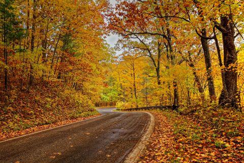 Michigan Fall Foliage