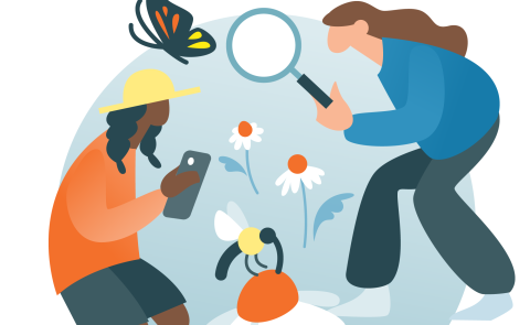 A cartoon of two citizen scientists. The one on the left is taking a photo of a bug on a flower with their phone, and the one on the right is looking at a butterfly through a magnifying glass.
