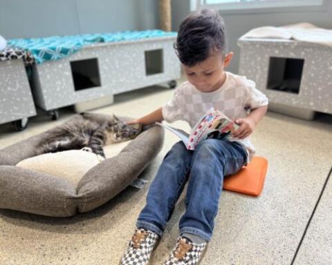 child reading with kitten